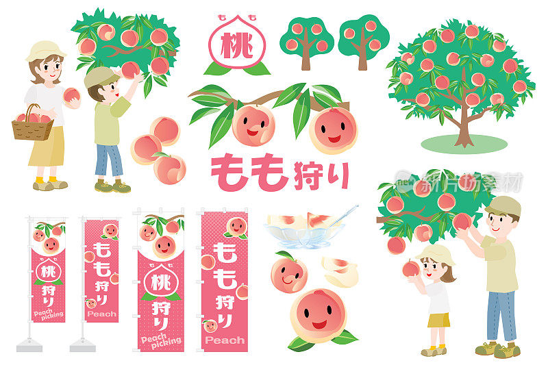 集桃树采摘插图和日文字母。