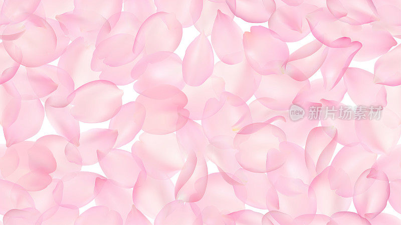 无缝图案与现实飞行的粉红色樱花花瓣在白色背景。重复纹理与大量模糊飘落的樱花花瓣。矢量插图与模糊效果。