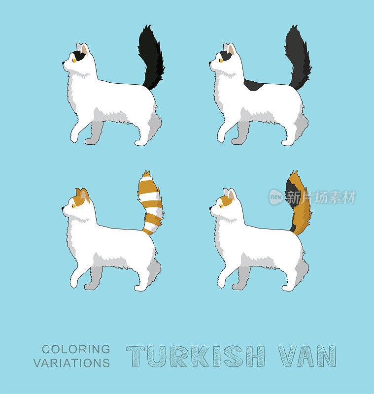 猫土耳其范着色变化矢量插图