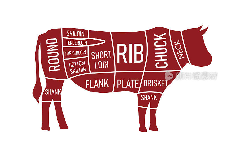 在白色背景上分离的牛的牛肉部分。红牛肉块。矢量插图在平面设计。