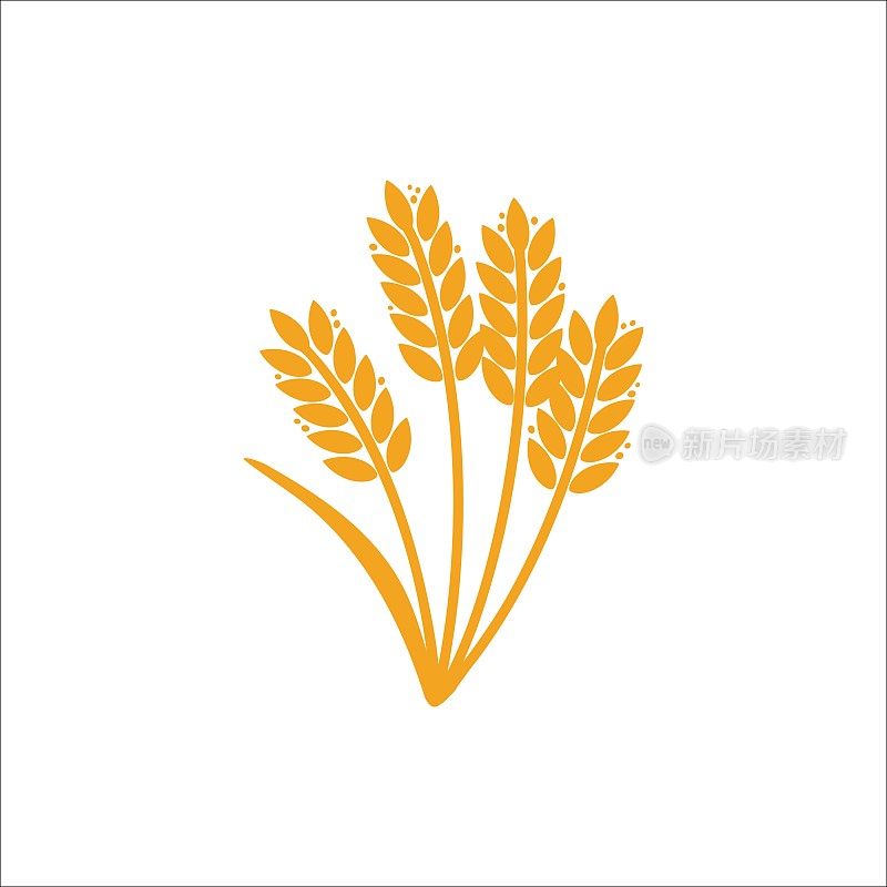 小麦的耳朵。大麦或米黄色剪影，啤酒或面包店标志孤立元素，有机农场元素的标签和徽章，面包包装，装饰对象，成熟的小穗，矢量插图