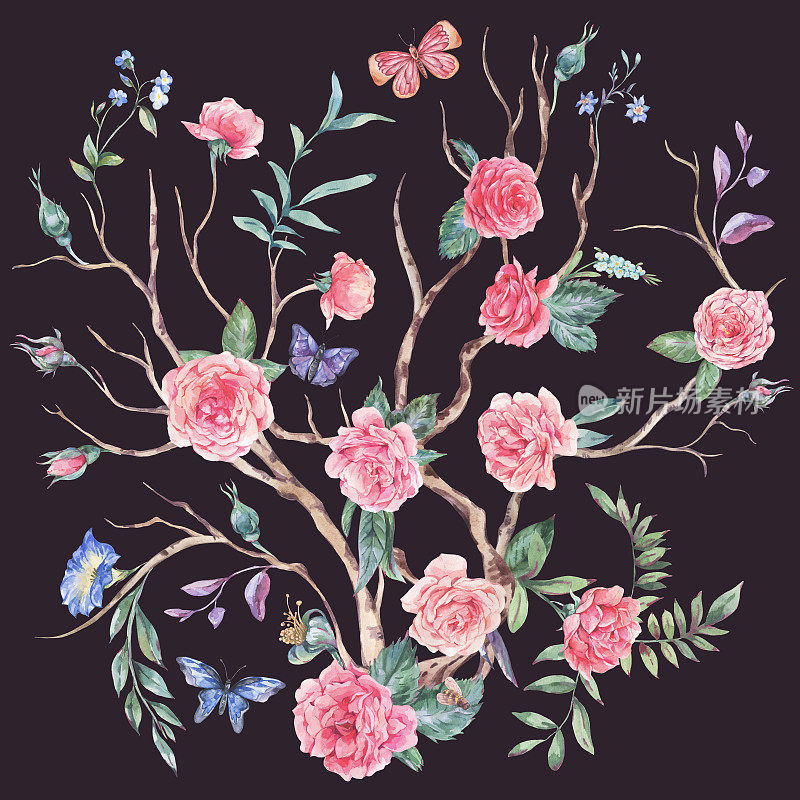 水彩画花园玫瑰花束，盛开的树，中国风插画孤立在黑色