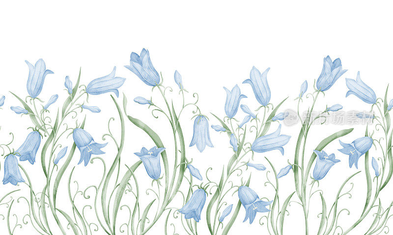 无缝花边界的蓝色铃铛花。水彩手绘植物框架与野生风信子孤立的背景。图案与铃铛花在复古风格的婚礼请柬