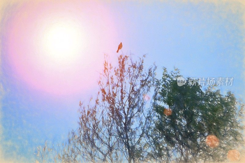 油画夜莺坐在树上，明亮的太阳有美丽的粉红色和明亮的蓝色天空