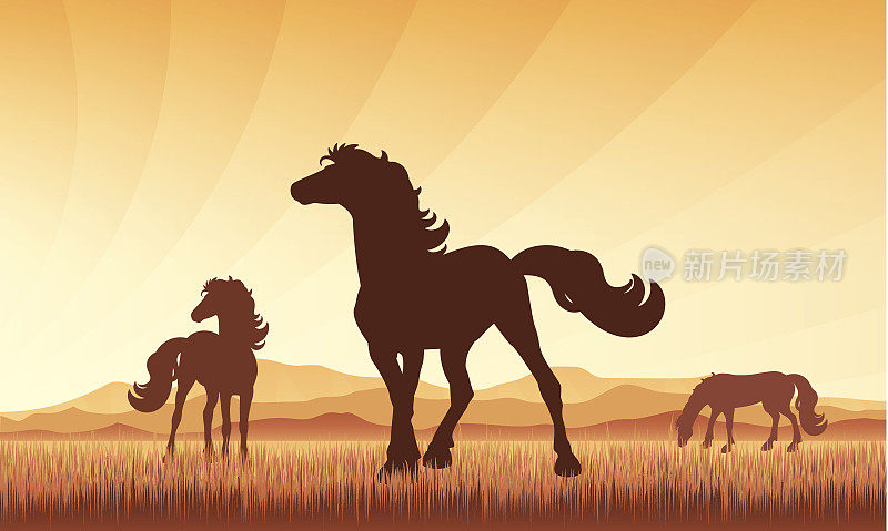 马在田野上的日落背景矢量剪影插图。
