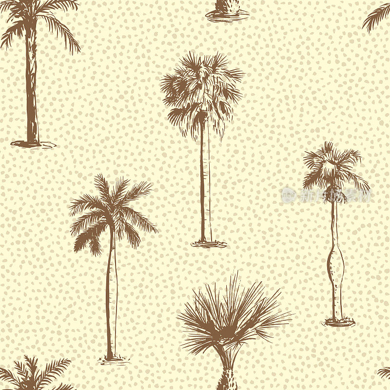 棕榈树的叶子无缝图案