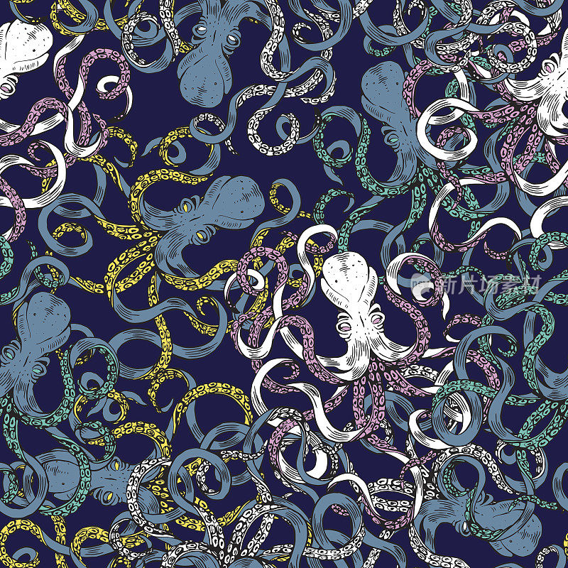 矢量手绘制无缝模式与章鱼。涂鸦背景颜色。海洋生物的模式。