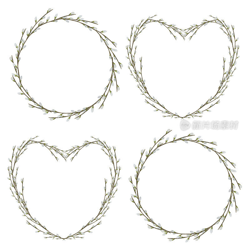 一组孤立在白色背景上的柳树花环。圆形和心形