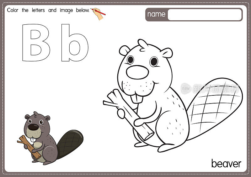 矢量插图的儿童字母着色书页与概述剪贴画，以颜色。字母B代表海狸。