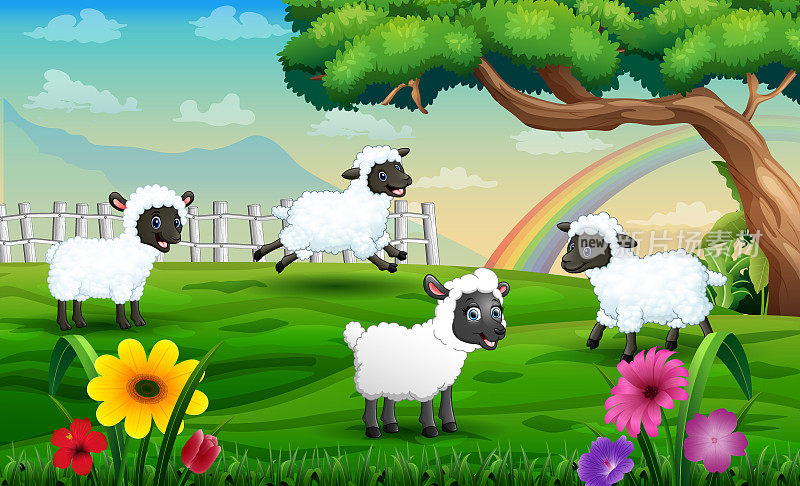 在彩虹背景下，绵羊在草地上玩耍