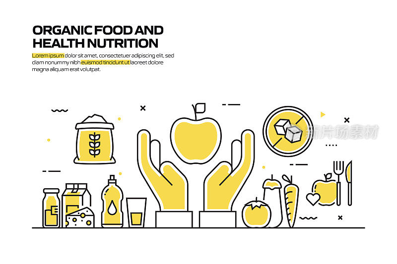 有机食品概念，线风格矢量插图