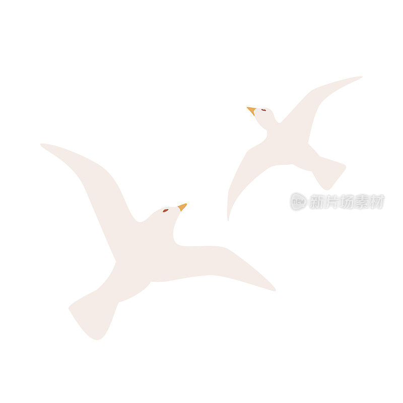 海鸥。孤立的飞鸟。简单的大西洋海鸟在平坦的风格。