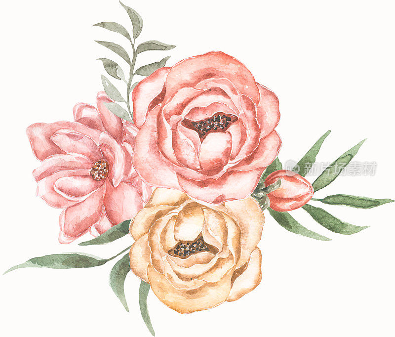 水彩牡丹和草木花束剪贴画，精致的花卉插图在复古风格，黄色和粉红色的玫瑰花剪贴艺术，婚礼花