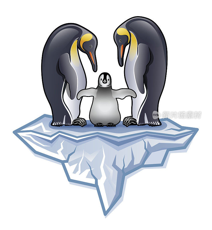 一对南极王企鹅与小鸡或雏鸟站在冰山插图