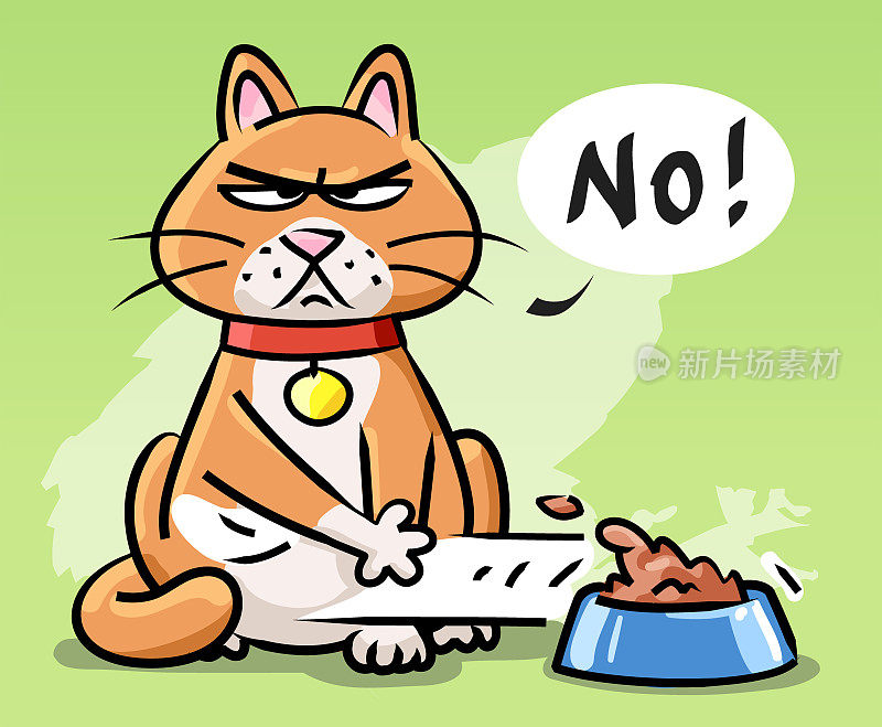爱挑食的猫拒绝食物
