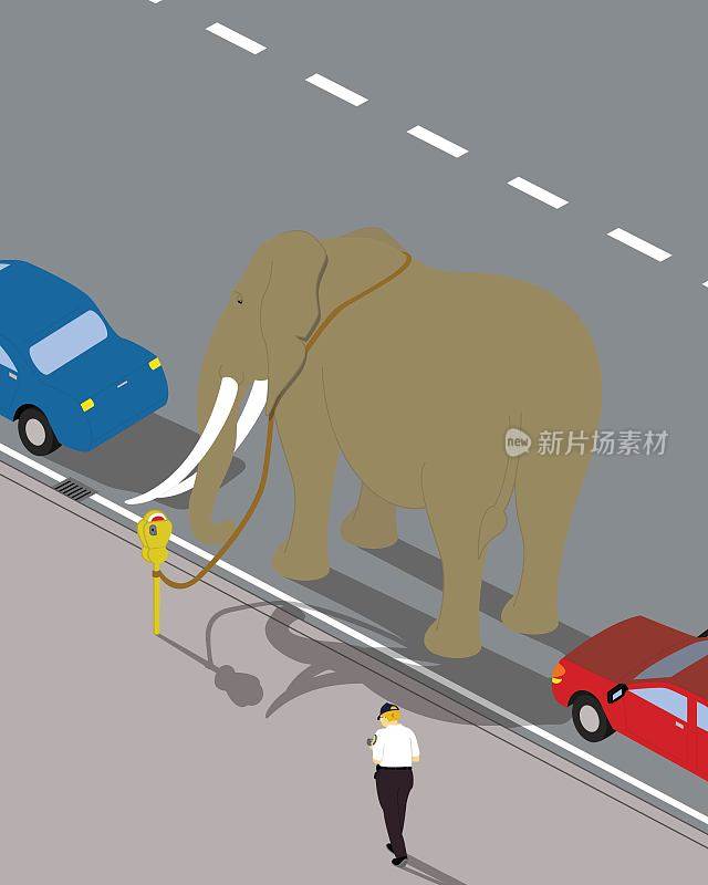 大象被绑在停车收费表上