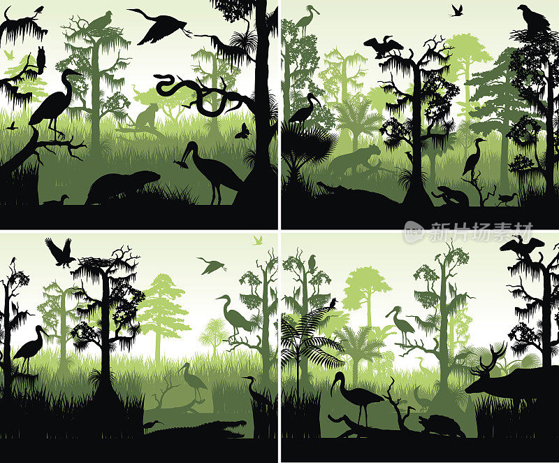 一套矢量雨林湿地剪影日落设计模板与动物
