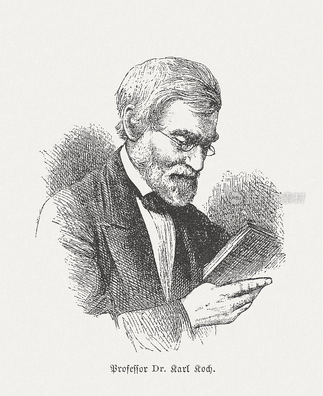 卡尔・科赫(1809-1879)，德国植物学家，木刻，1882年出版