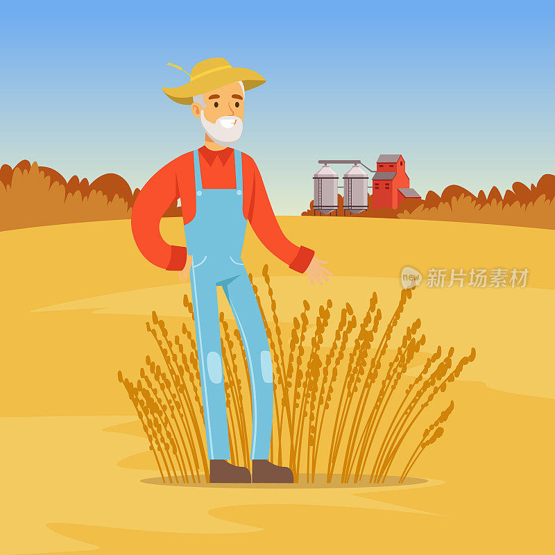 成熟的农人收获小麦，农业和农作，乡村景观矢量插图