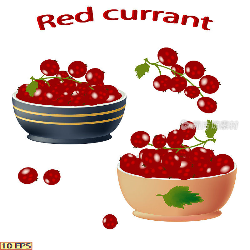 成熟的浆果。红醋栗。一碗孤立在白色背景上的黑浆果。红醋栗特写。向量。
