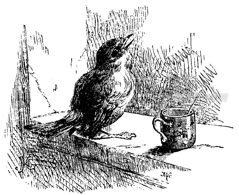 维多利亚时代的故事插图;一只鸟坐在窗台上，杯子旁边唱歌;19世纪的童话故事和野生动物1879