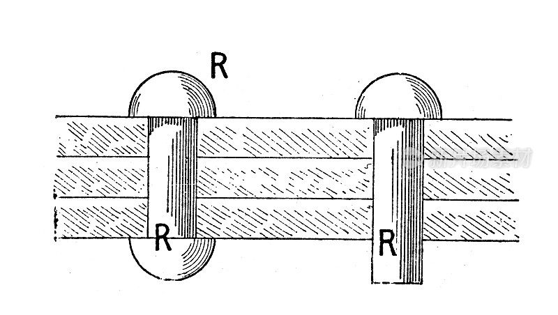 古董插图:铆钉