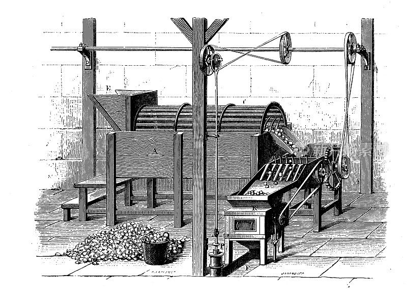 19世纪工业、技术和工艺的仿古插画:淀粉提取