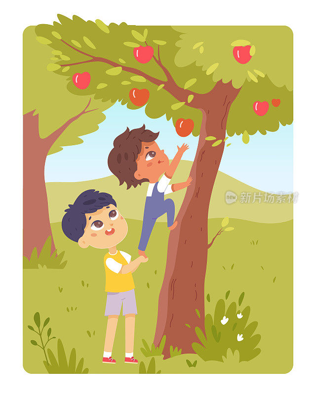 孩子们在花园里摘苹果，男孩爬上树在村里的果园里摘水果