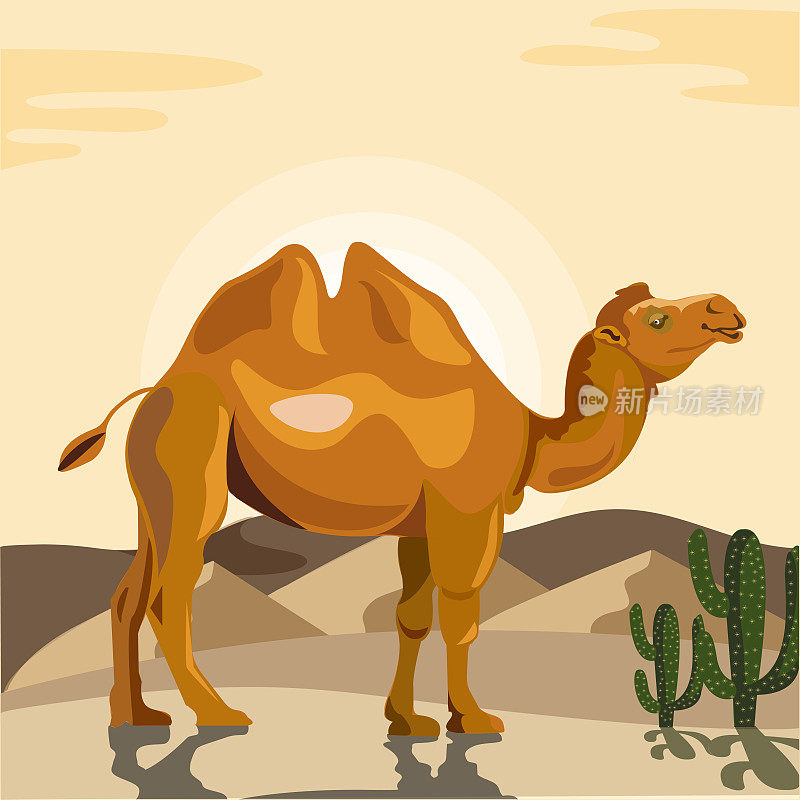 沙漠矢量图中的双驼峰骆驼