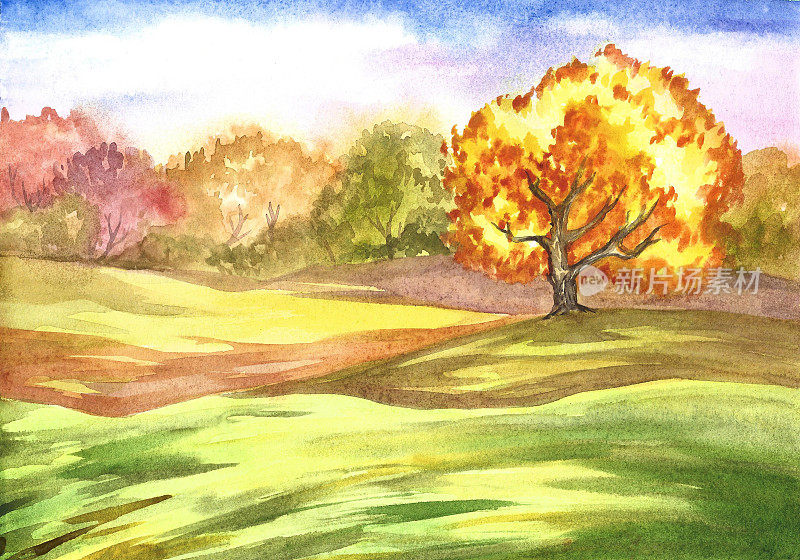 秋天树木的水彩画。艺术插图。秋季景观有草甸、牧场和树木。
