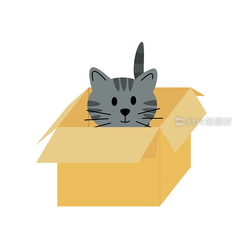 猫在纸板盒里。小猫。平面，卡通，矢量
