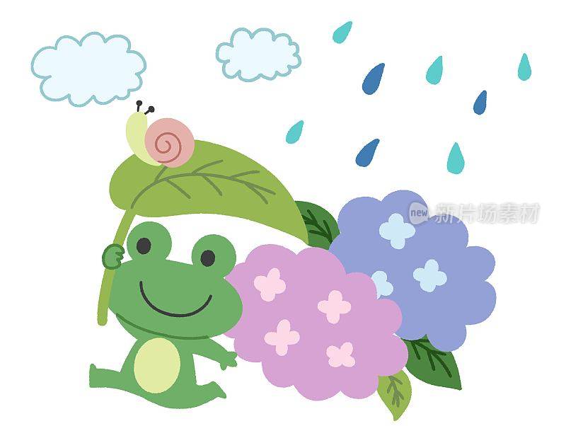 绣球花和青蛙在雨天的插图材料