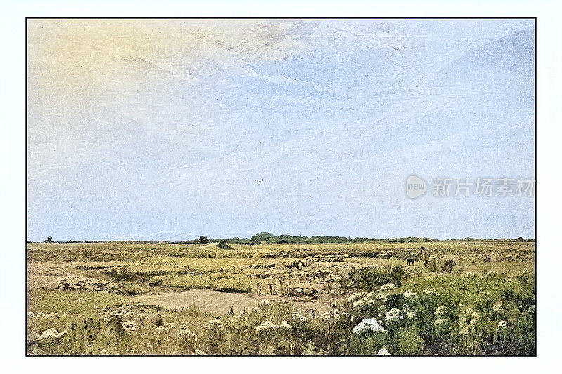 古董绘画照片:风景