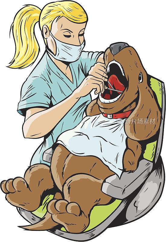 兽医牙医