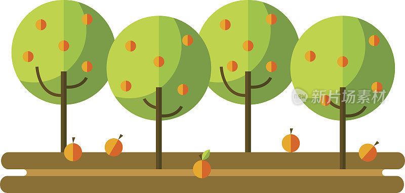 平面矢量插图苹果园和收获水果