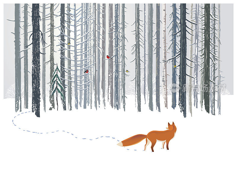 冬天的森林和狐狸。
