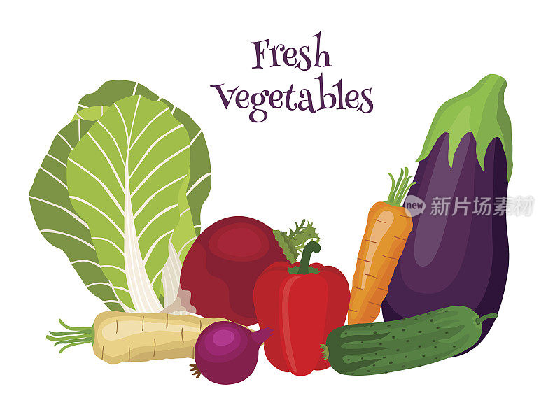 新鲜蔬菜-白菜，茄子，胡萝卜，黄瓜，洋葱，甜椒