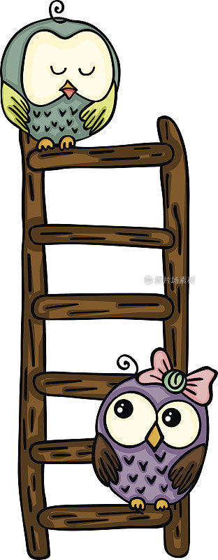 可爱的猫头鹰在梯子上