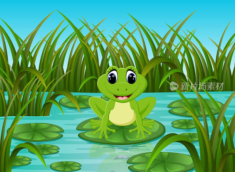 江景与快乐的青蛙在树叶上