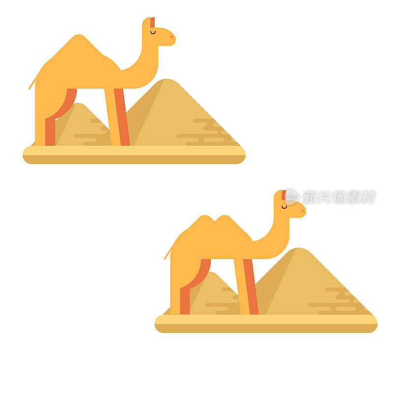 吉萨金字塔背景上的两头骆驼。平面矢量设计插图