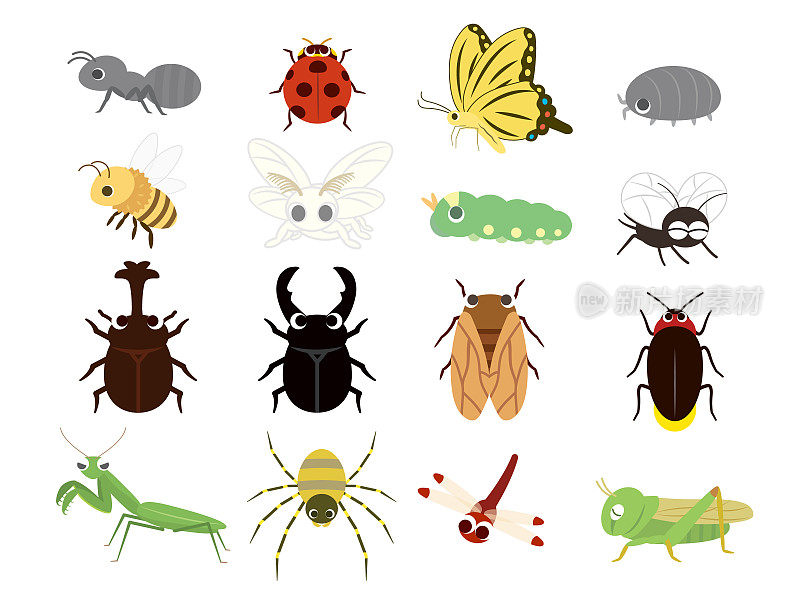 昆虫图标set1