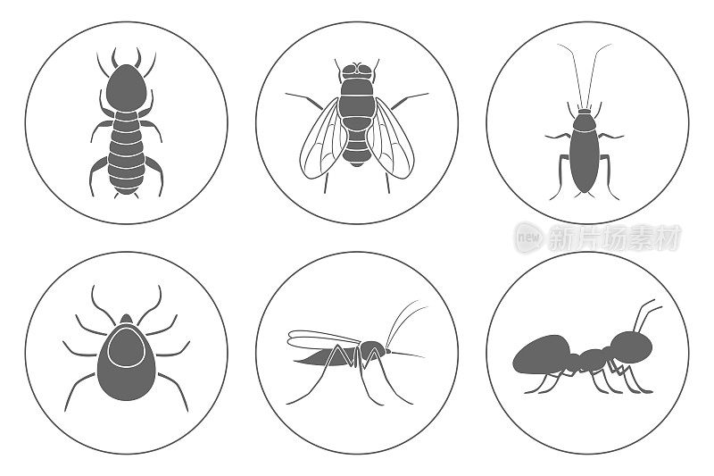 家居害虫图标集。蟑螂，白蚁，蚊子，苍蝇，蚂蚁和蜱。向量