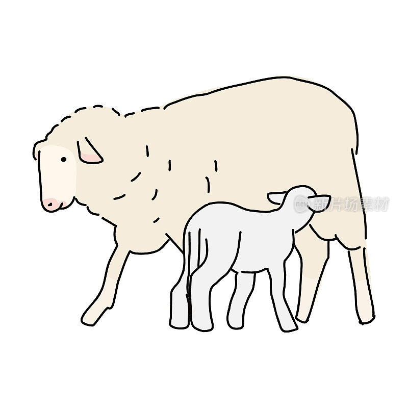 一只羊和一个孩子的完整身体，简单的矢量插图