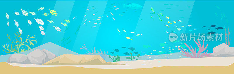 水下的海洋世界与外来的鱼类。海底有海洋生物，热带鱼群