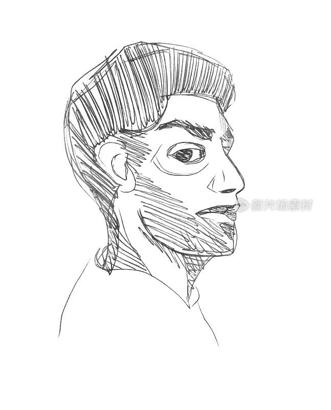 矢量线素描半圆形脸的中东成年男子与胡须在他的脸上。用钢笔在白纸上画肖像。直线写意铅笔画。