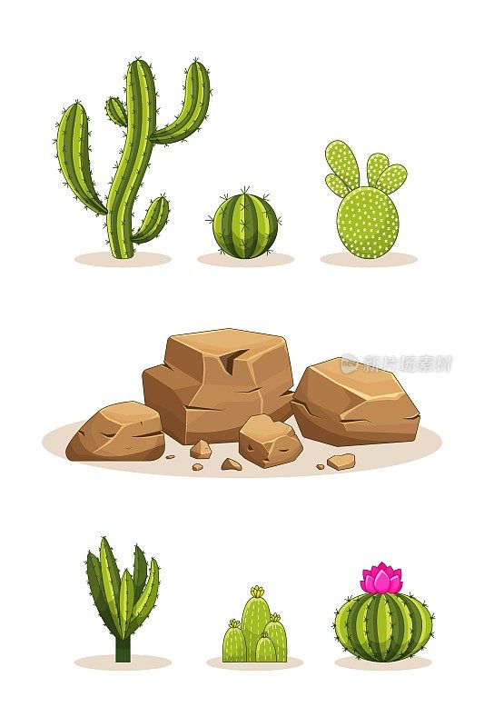 仙人掌带着刺和石头。墨西哥绿色植物，有刺和岩石。沙漠和南部景观的元素。卡通平面矢量插图。孤立在白色背景上