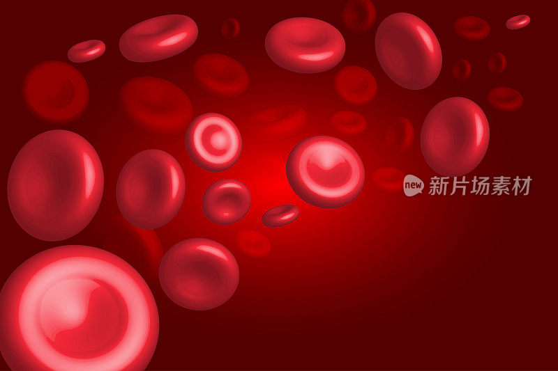 血液循环系统中的红细胞。在静脉中流动的血细胞