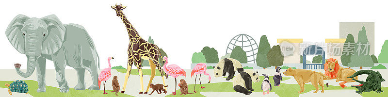 手绘水彩风格的动物园动物插图框架
