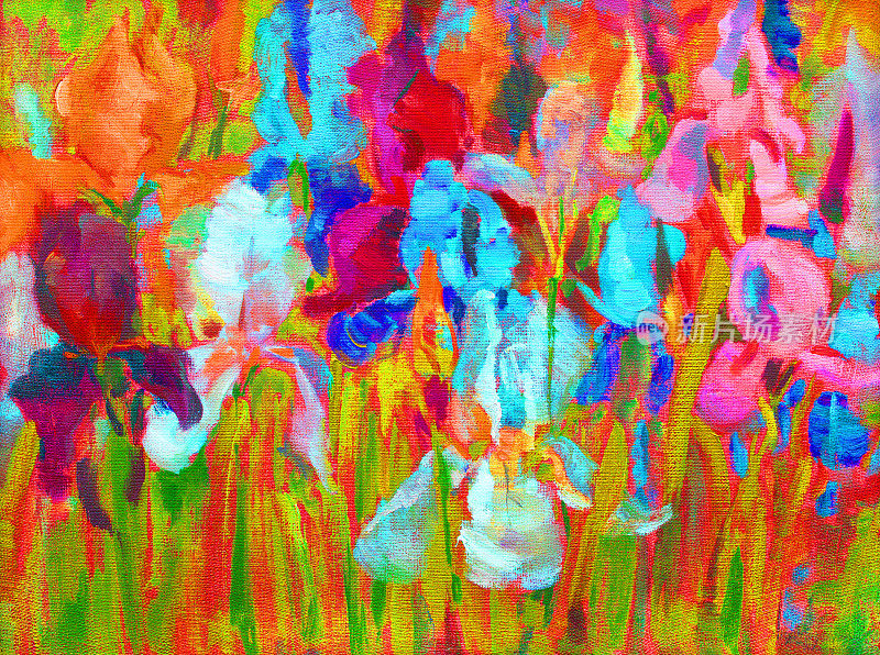 插图油画风景花鸢尾花盛开在一个绿色的花坛在树叶的背景