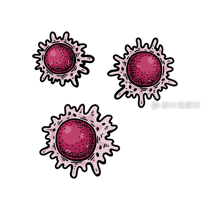 白色背景上分离的巨噬血细胞。手绘科学微生物载体插图素描风格